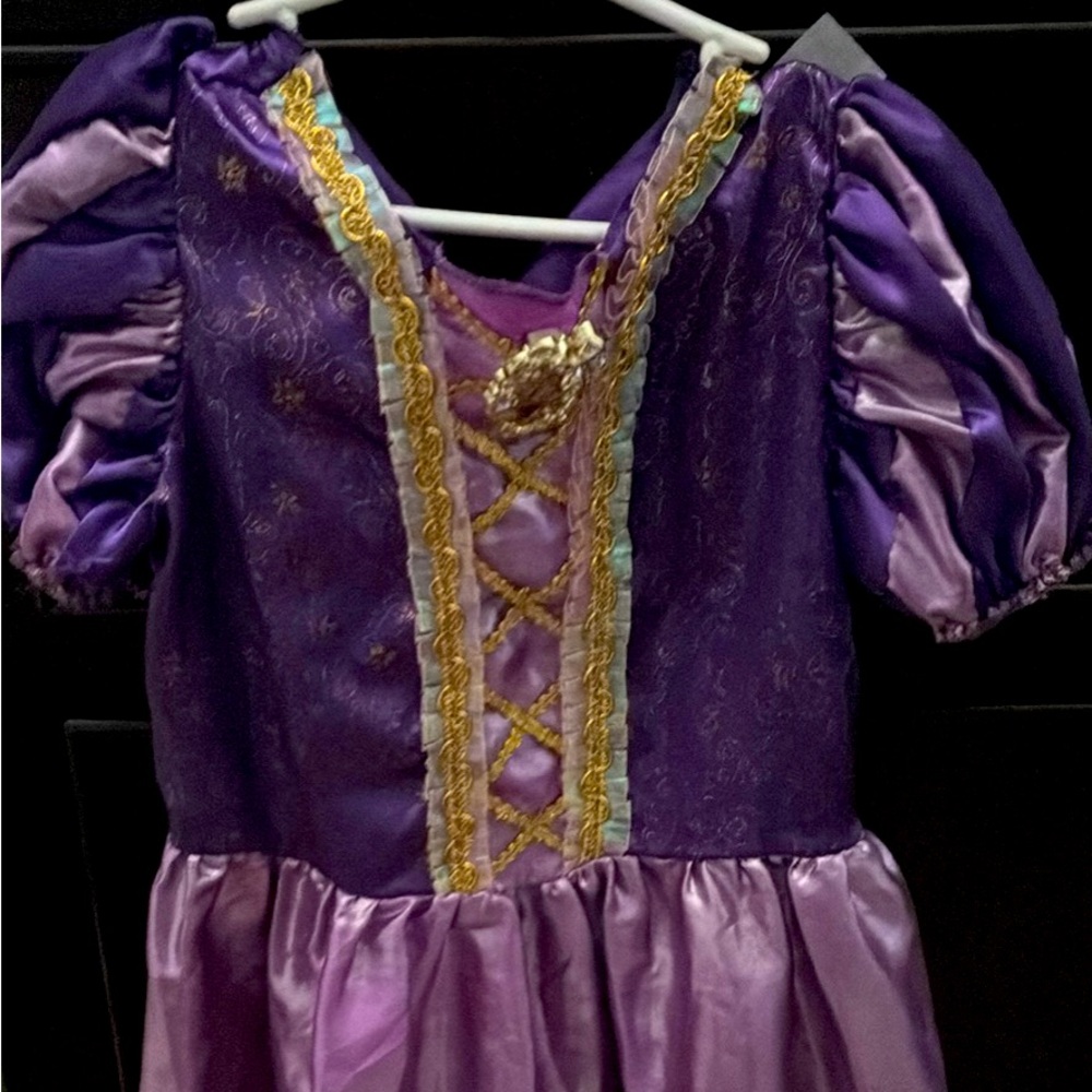 Disney Rapunzel costume